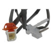 109AX447 - Imagen 2