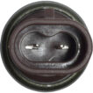 12211205 - Imagen 2